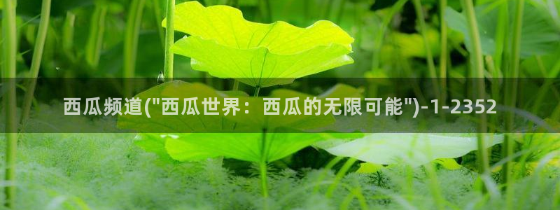 长相思第一季免费观看西瓜影院